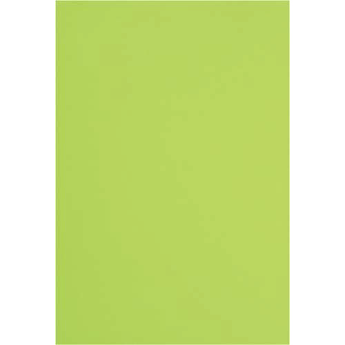 42130093