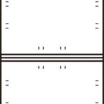 50101764