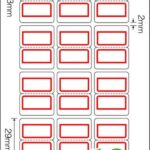 50534043