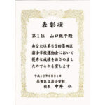 51331559